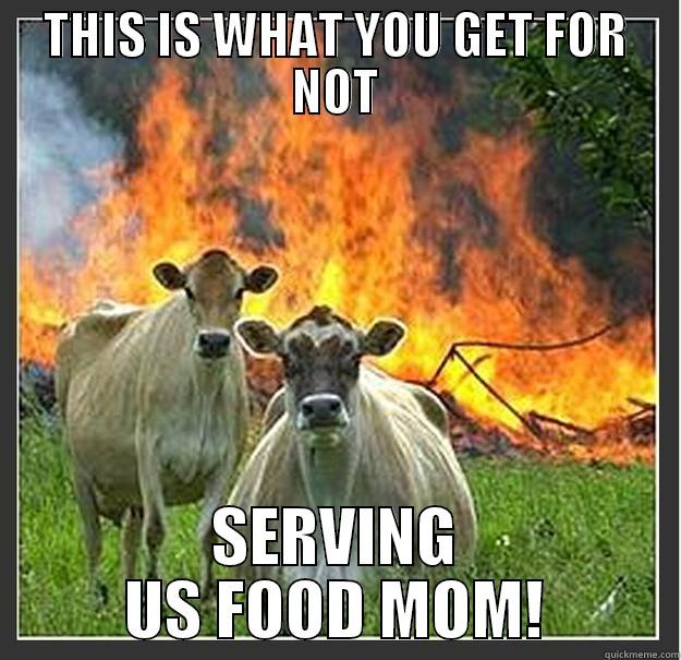 THIS IS WHAT YOU GET FOR NOT SERVING US FOOD MOM! Evil cows