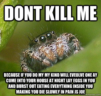 dont kill me because if you do my my kind will eveolve one ay come into your house at night lay eggs in you and burst out eating everything inside you making you die slowly in pain js joe  Misunderstood Spider