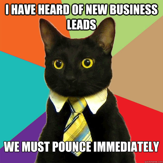 I have heard of new business leads We must POUNCE immediately  Business Cat