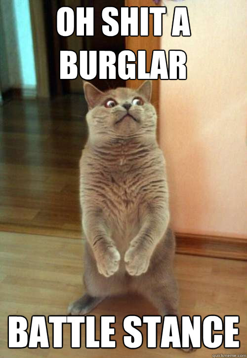 oh shit a burglar BATTLE STANCE  Horrorcat