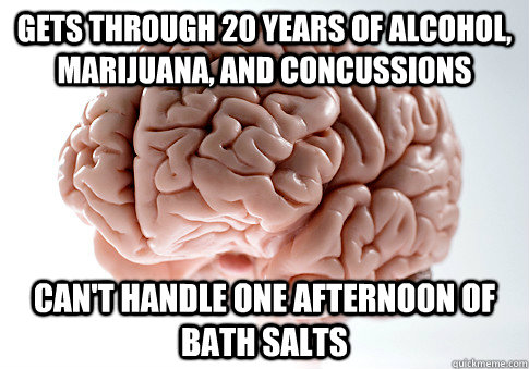 Gets through 20 years of alcohol, marijuana, and concussions can't handle one afternoon of bath salts  Scumbag Brain