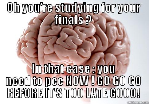 OH YOU'RE STUDYING FOR YOUR FINALS ? IN THAT CASE : YOU NEED TO PEE NOW ! GO GO GO BEFORE IT'S TOO LATE GOOO! Scumbag Brain