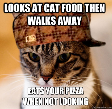 Looks at cat food then walks away Eats your pizza when not looking - Looks at cat food then walks away Eats your pizza when not looking  Scumbag Cat