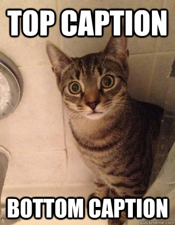 Top caption Bottom caption  Sudden Clarity Cat