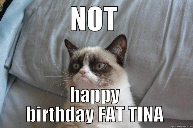 NOT HAPPY BIRTHDAY FAT TINA Grumpy Cat