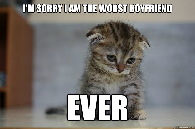 I'm sorry i am the worst boyfriend EVER  Sad Kitten