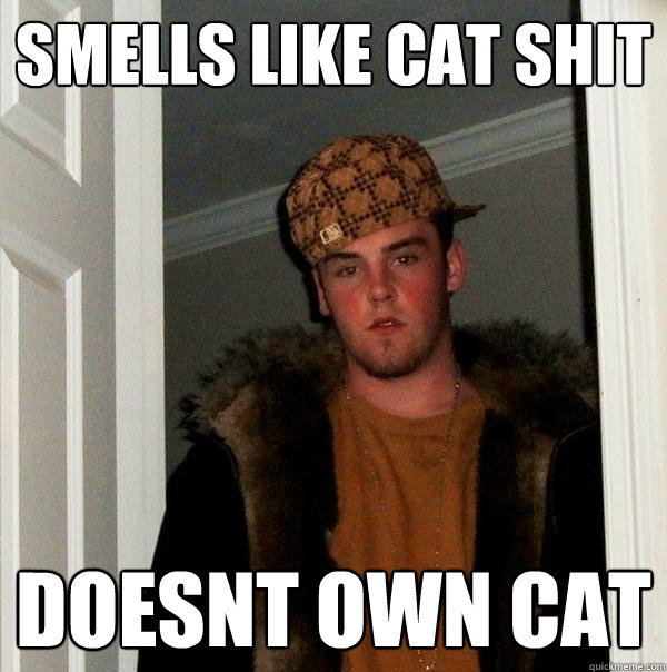 SMELLS LIKE CAT SHIT DOESNT OWN CAT - SMELLS LIKE CAT SHIT DOESNT OWN CAT  Scumbag Steve