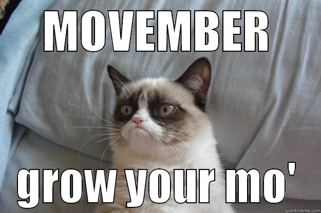 MOVEMBER GROW YOUR MO' Grumpy Cat