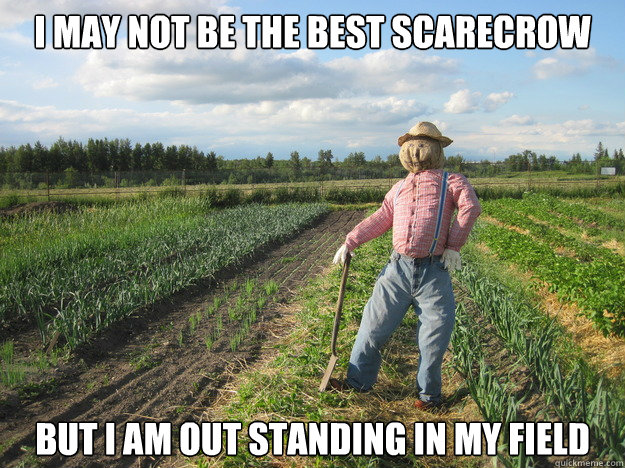 i may not be the best scarecrow
 But i am out standing in my field   Scarecrow