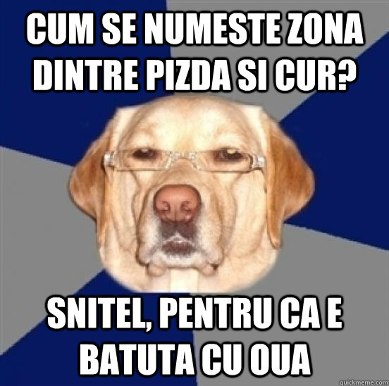 cum se numeste zona dintre pizda si cur? snitel, pentru ca e batuta cu oua  Racist Dog