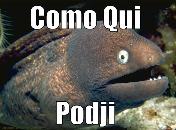 COMO QUI PODJI Bad Joke Eel