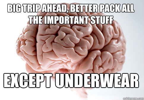 BIG TRIP AHEAD, BETTER PACK ALL THE IMPORTANT STUFF EXCEPT UNDERWEAR   Scumbag Brain