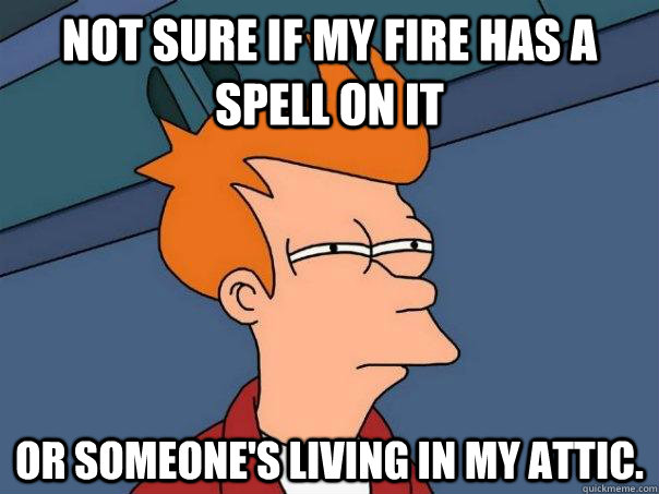 Not sure if my fire has a spell on it or someone's living in my attic.  Futurama Fry