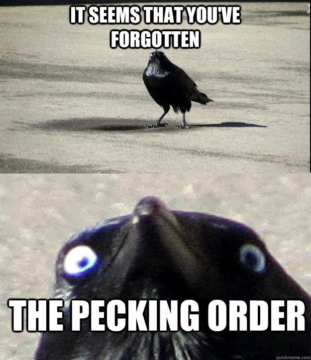 It seems that you've forgotten The pecking order - It seems that you've forgotten The pecking order  Misc