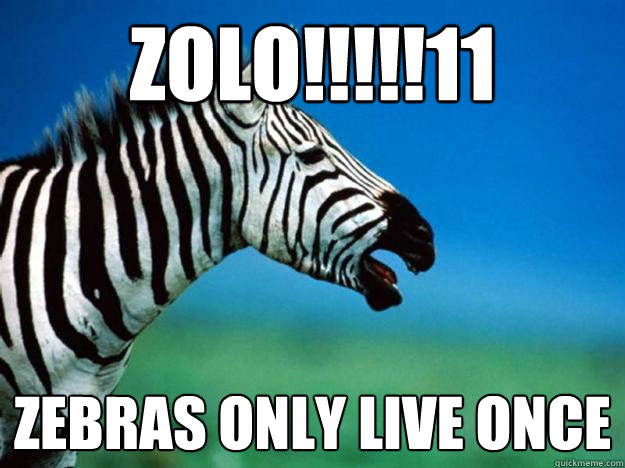 ZOLO!!!!!11 ZEBRAS ONLY LIVE ONCE - ZOLO!!!!!11 ZEBRAS ONLY LIVE ONCE  Racially Confused Zebra