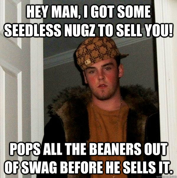 Hey man, I got some seedless nugz to sell you! Pops all the beaners out of swag before he sells it.   Scumbag Steve