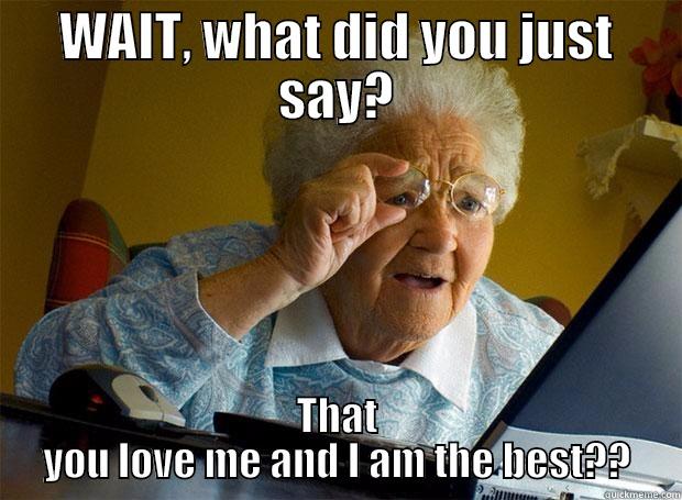 WAIT, WHAT DID YOU JUST SAY? THAT YOU LOVE ME AND I AM THE BEST?? Grandma finds the Internet