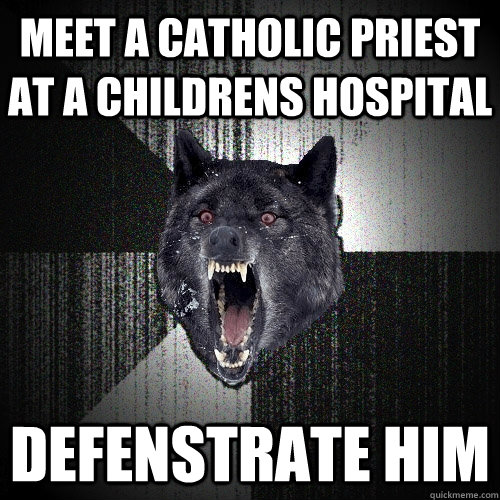 meet a catholic priest at a childrens hospital defenstrate him  - meet a catholic priest at a childrens hospital defenstrate him   Insanity Wolf