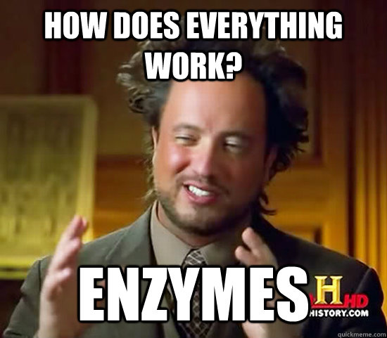 How does everything work? Enzymes  Ancient Aliens