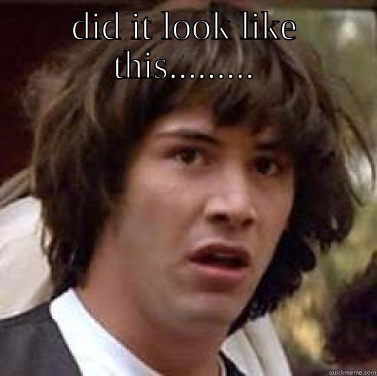 DID IT LOOK LIKE THIS.........  conspiracy keanu