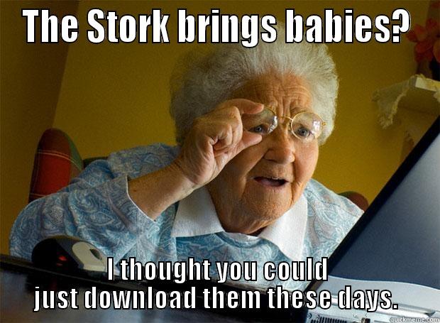 The Stork - THE STORK BRINGS BABIES? I THOUGHT YOU COULD JUST DOWNLOAD THEM THESE DAYS.  Grandma finds the Internet