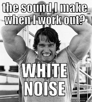 THE SOUND I MAKE WHEN I WORK OUT? WHITE NOISE Misc