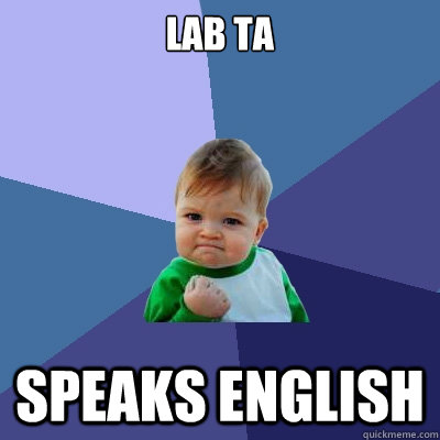 Lab ta speaks english  Success Kid