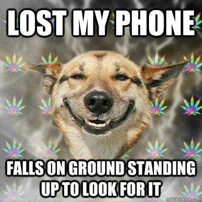 LOst my phone falls on ground standing up to look for it  Stoner Dog