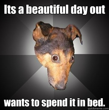 Its a beautiful day out wants to spend it in bed.  Depression Dog