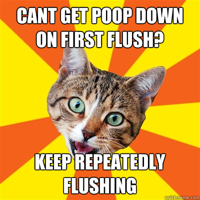 cant get poop down on first flush? keep repeatedly flushing - cant get poop down on first flush? keep repeatedly flushing  Bad Advice Cat