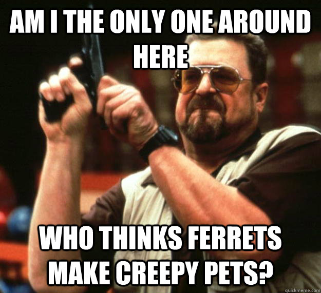 am I the only one around here Who thinks ferrets make creepy pets?  Angry Walter