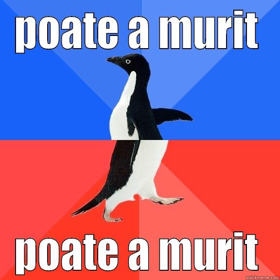 POATE A MURIT POATE A MURIT Socially Awkward Awesome Penguin