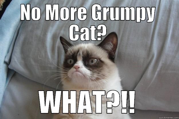 NO MORE GRUMPY CAT? WHAT?!! Grumpy Cat