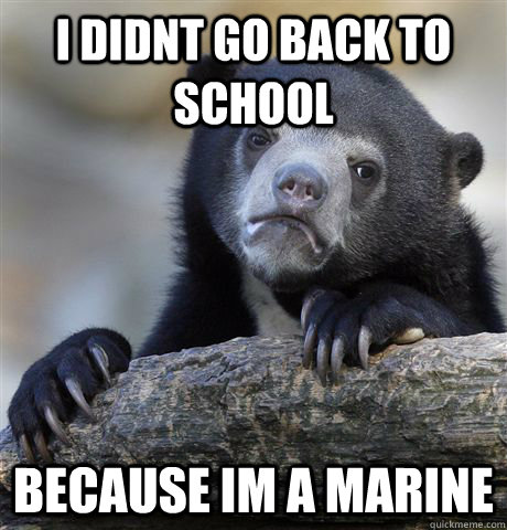 i didnt go back to school because im a marine  Confession Bear