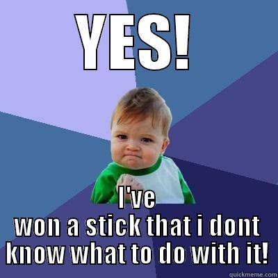 YES! I'VE WON A STICK THAT I DONT KNOW WHAT TO DO WITH IT! Success Kid