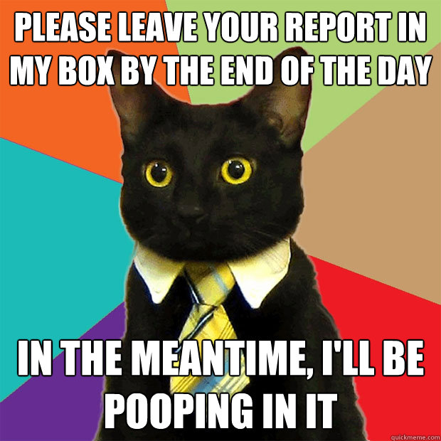 please leave your report in my box by the end of the day in the meantime, i'll be pooping in it  Business Cat