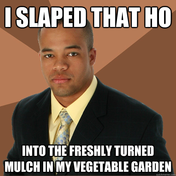 I slaped that ho into the freshly turned mulch in my vegetable garden  Successful Black Man