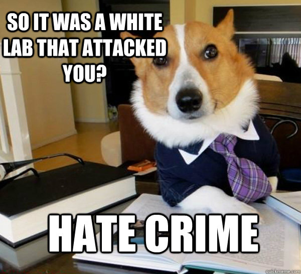 so it was a white lab that attacked you? hate crime  Lawyer Dog