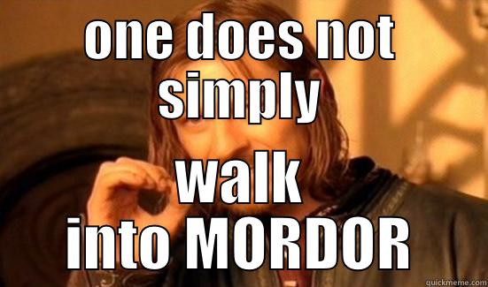 ONE DOES NOT SIMPLY WALK INTO MORDOR Boromir