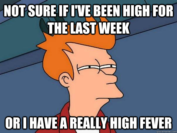 Not sure if I've been high for the last week Or I have a really high fever  Futurama Fry