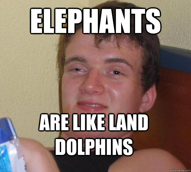 elephants are like land dolphins  10 Guy