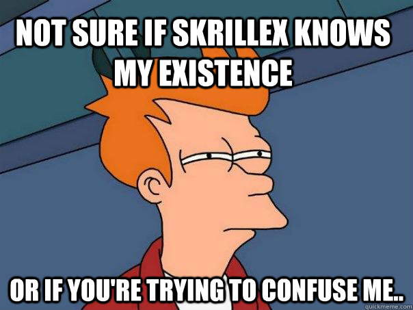 Not sure if Skrillex knows my existence Or if you're trying to confuse me..  Futurama Fry