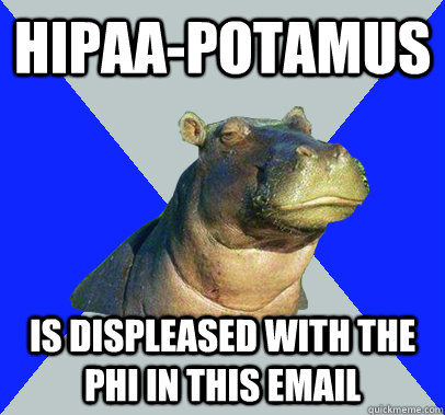 HIPAA-POTAMUS Is displeased with the PHI in this email  Skeptical Hippo