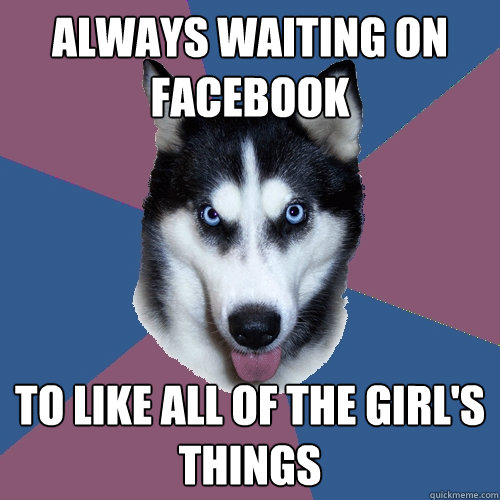 Always waiting on facebook to like all of the girl's things  Creeper Canine