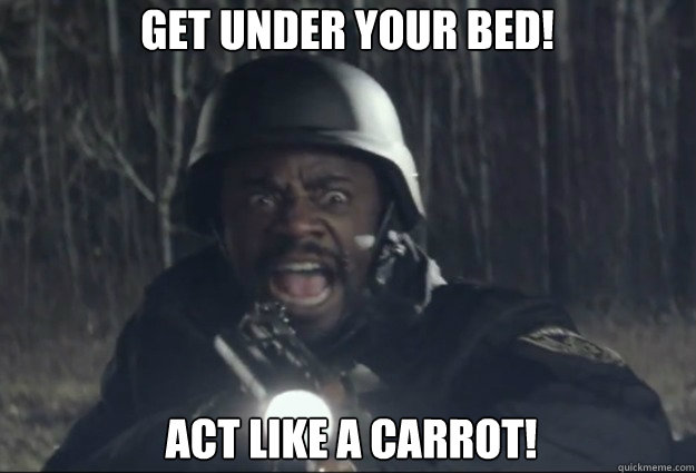 Get under your bed!
 Act like a carrot! - Get under your bed!
 Act like a carrot!  Shouting Black Policeman