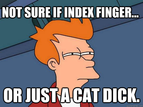 not sure if index finger... or just a cat dick. - not sure if index finger... or just a cat dick.  Futurama Fry