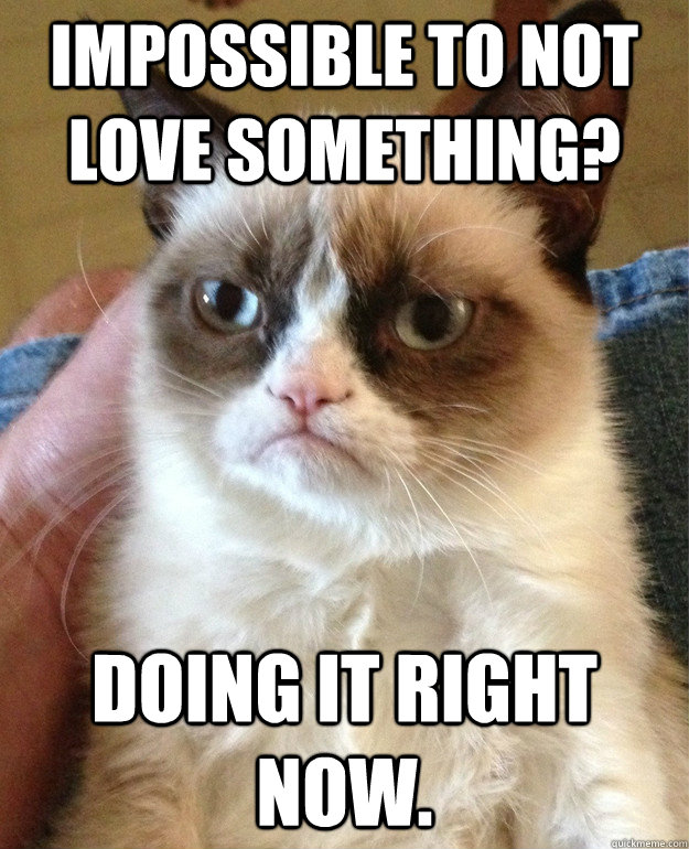 Impossible to not love something? Doing it right now.  Grumpy Cat