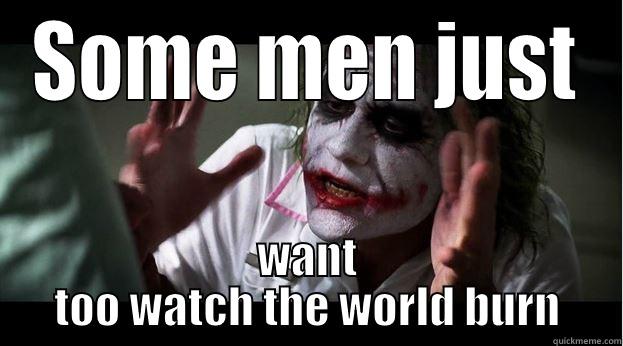 SOME MEN JUST WANT TOO WATCH THE WORLD BURN Joker Mind Loss