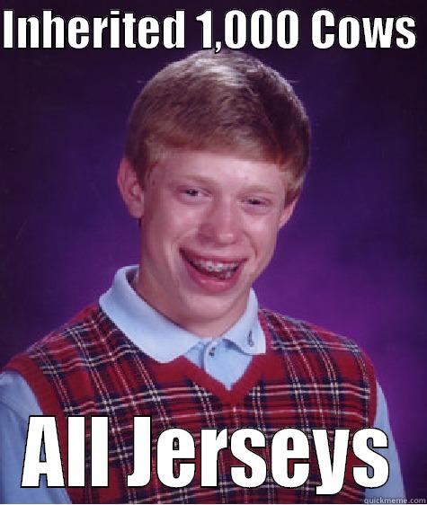 INHERITED 1,000 COWS  ALL JERSEYS Bad Luck Brian