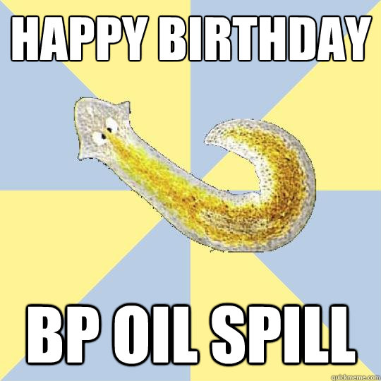 Happy birthday  BP oil spill  Bio Major Planarian